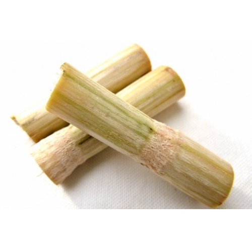 竹蔗